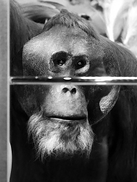 naturalis 9-2021 9625